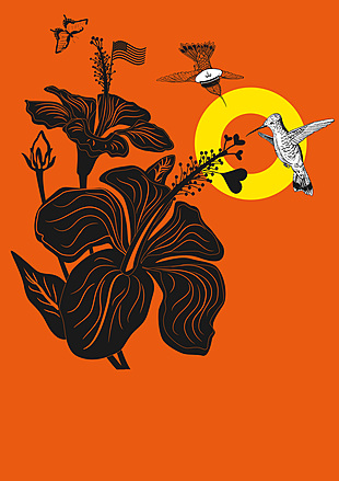 Poster for the Hildesheim production of "Die Blume von Hawaii," 2018.