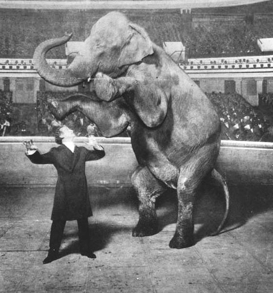 Harry Houdini and Jennie, the Vanishing Elephant, 1918. (Photo: White Studio)